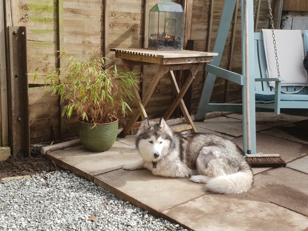 The Garden Room, Pets, Fridge Tv Chester Eksteriør bilde